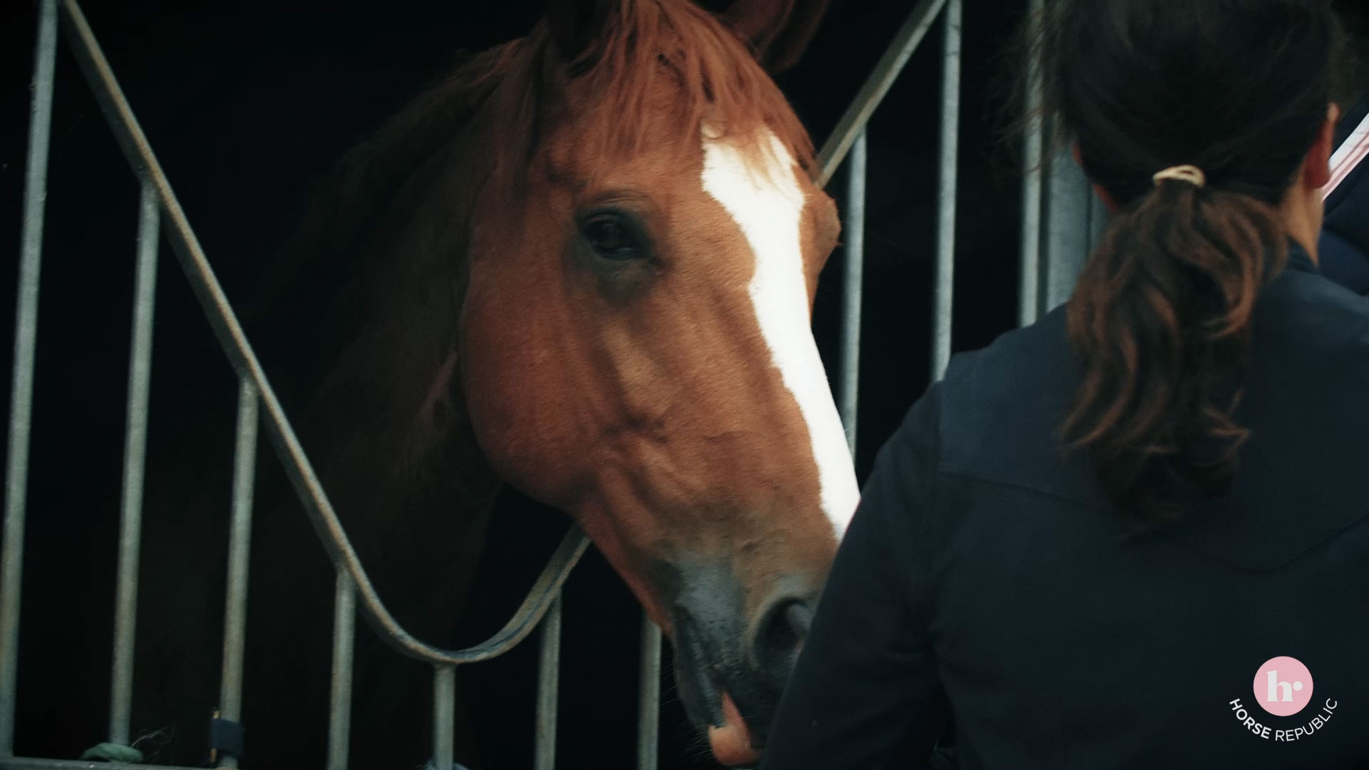 pension cheval geneve écurie Hennequin