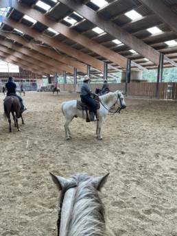 stage d'équitation éthologique avec Maud Burnier